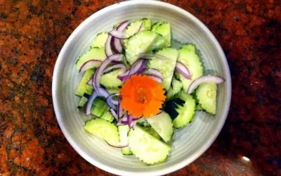 Cucumber Salad